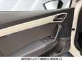 SEAT Arona 1.0 TSI DSG XCELLENCE PARKL LED 4SEASON Weiß - thumbnail 13