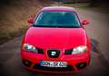 SEAT Ibiza Ibiza+1.2+12V+Best+of Rot - thumbnail 15