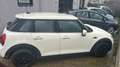 MINI One Mini IV F55 2018 5p 5p 1.5 Business XL 102cv Beige - thumbnail 1
