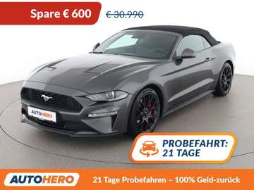2.3 EcoBoost Convertible Basis