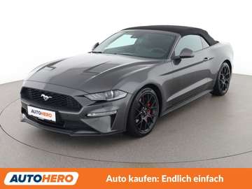 2.3 EcoBoost Convertible Basis