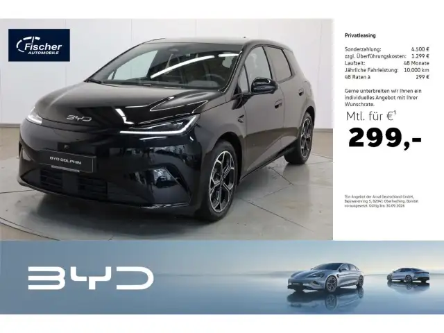 BYD Sonstige