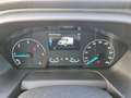 Ford Transit 310 Trend L3H2 Klima PDC SOFORT!!! Blanco - thumbnail 29