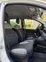 Fiat Panda Panda 1.0 firefly hybrid City Life s Bianco - thumbnail 8