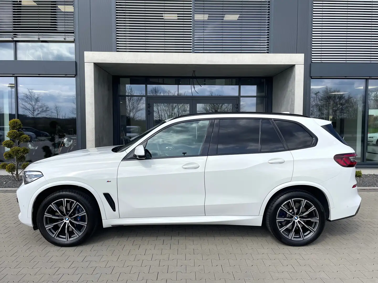 BMW X5 xDrive 25d M Sport AHK/Leder/Kamera/DAB Beyaz - 2