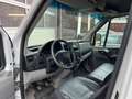 Mercedes-Benz Sprinter II Kasten 316 CDI AHK 6-Sitzer Blanco - thumbnail 14