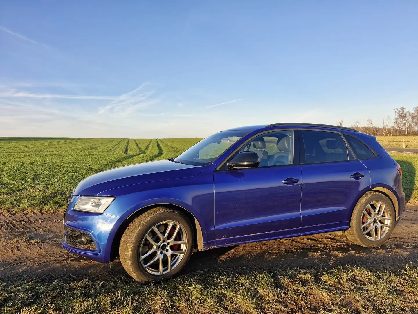Audi SQ5 3.0 TDI plus quattro Blau - 2