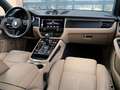Porsche Macan GTS,360,Pano,Belüft,BOSE,21,Approved 10/25 Blau - thumbnail 19
