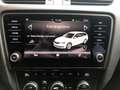 Skoda Octavia Combi 1.6 TDI DSG Clever mit Neuem Motor von VW Brons - thumbnail 12
