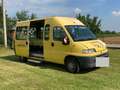 Fiat DUCATO SCUOLABUS Giallo - thumbnail 14