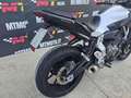 Yamaha MT-07 Export Video 360 Bianco - thumbnail 12