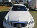 Mercedes-Benz E 250 CDI Avantgarde Webasto Comand SR+WR Spurh. Blanc - thumbnail 2