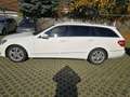 Mercedes-Benz E 250 CDI Avantgarde Webasto Comand SR+WR Spurh. Blanc - thumbnail 5