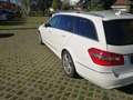 Mercedes-Benz E 250 CDI Avantgarde Webasto Comand SR+WR Spurh. Blanc - thumbnail 6