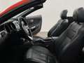 Ford Mustang MUSTANG 2.3 MIT *SHELBY* GT500 LOOK BRACHIAL!! Rosso - thumbnail 5