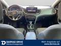 Kia Ceed SW / cee'd SW Ceed Sportswagon Plug-in Hybr. Spirit Navi 1.Hd - thumbnail 13