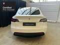 Tesla Model Y Rear-Wheel Drive "Certified Pre-Owned" Bianco - thumbnail 7