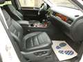 Volkswagen Touareg 4.2 V8 TDI DPF Automatik Exclusive Blanc - thumbnail 5