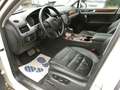 Volkswagen Touareg 4.2 V8 TDI DPF Automatik Exclusive Blanc - thumbnail 8