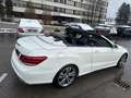 Mercedes-Benz E 400 E Cabrio E 400 Bianco - thumbnail 14