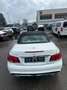 Mercedes-Benz E 400 E Cabrio E 400 Bianco - thumbnail 3
