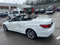 Mercedes-Benz E 400 E Cabrio E 400 Bianco - thumbnail 13
