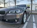 BMW 525 525d xDrive Aut. Braun - thumbnail 2