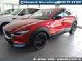 Mazda CX-30 2.5L e-SKYACTIV G Homura Rot - thumbnail 3