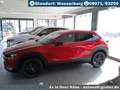 Mazda CX-30 2.5L e-SKYACTIV G Homura Rot - thumbnail 4