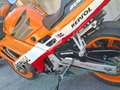 Honda CBR 600 Orange - thumbnail 2