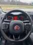 Fiat Panda Panda III 2021 Cross 1.0 firefly hybrid Cross s Grün - thumbnail 2