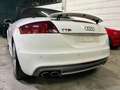 Audi TTS Roadster 2.0 tfsi quattro 272cv s-tronic Weiß - thumbnail 13