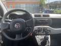 Fiat Panda Cross MY22 City Plus Hybrid 1.0 GS Schwarz - thumbnail 9