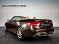 Audi A5 A5 Cabrio 3.0 TDI*Quattro*S-Line*Bang&Olufsen* Brun - thumbnail 23