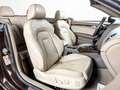 Audi A5 A5 Cabrio 3.0 TDI*Quattro*S-Line*Bang&Olufsen* Brun - thumbnail 16