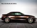 Audi A5 A5 Cabrio 3.0 TDI*Quattro*S-Line*Bang&Olufsen* Brun - thumbnail 20
