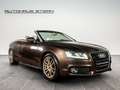 Audi A5 A5 Cabrio 3.0 TDI*Quattro*S-Line*Bang&Olufsen* Brun - thumbnail 1