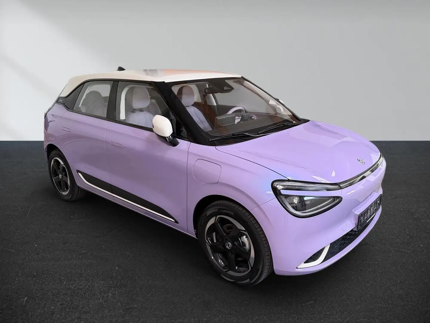 Dongfeng Box Nammi E3 360 Kamera Winterpaket Leder Vollausst... Violett - 2