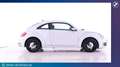 Volkswagen Beetle 1,2 TSI BMT Design Weiß - thumbnail 2