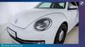 Volkswagen Beetle 1,2 TSI BMT Design Weiß - thumbnail 15