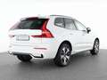 Volvo XC60 T6 AWD Hybrid Plus Dark 19"+VOLL-LED+360° Weiß - thumbnail 2