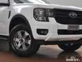 Ford Ranger 2.0 Ecoblue 170Cv Auto XLT + IVA Alb - thumbnail 6
