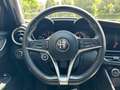 Alfa Romeo Giulia 2.2 Turbodiesel 150 CV Super Синій - thumbnail 12