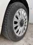 Fiat 500C 1.0 Hybrid Dolcevita 52kW Blanc - thumbnail 19