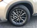 Lexus NX 450h+ AWD Luxury Line Innovation Pack | Head up Display, Grijs - thumbnail 5