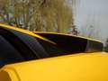 Lamborghini Murciélago 6-Speed Manual (2002) 580 PS | Giallo Orion | NL D Gelb - thumbnail 19