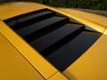 Lamborghini Murciélago 6-Speed Manual (2002) 580 PS | Giallo Orion | NL D Gelb - thumbnail 45
