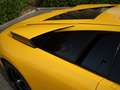 Lamborghini Murciélago 6-Speed Manual (2002) 580 PS | Giallo Orion | NL D Gelb - thumbnail 26
