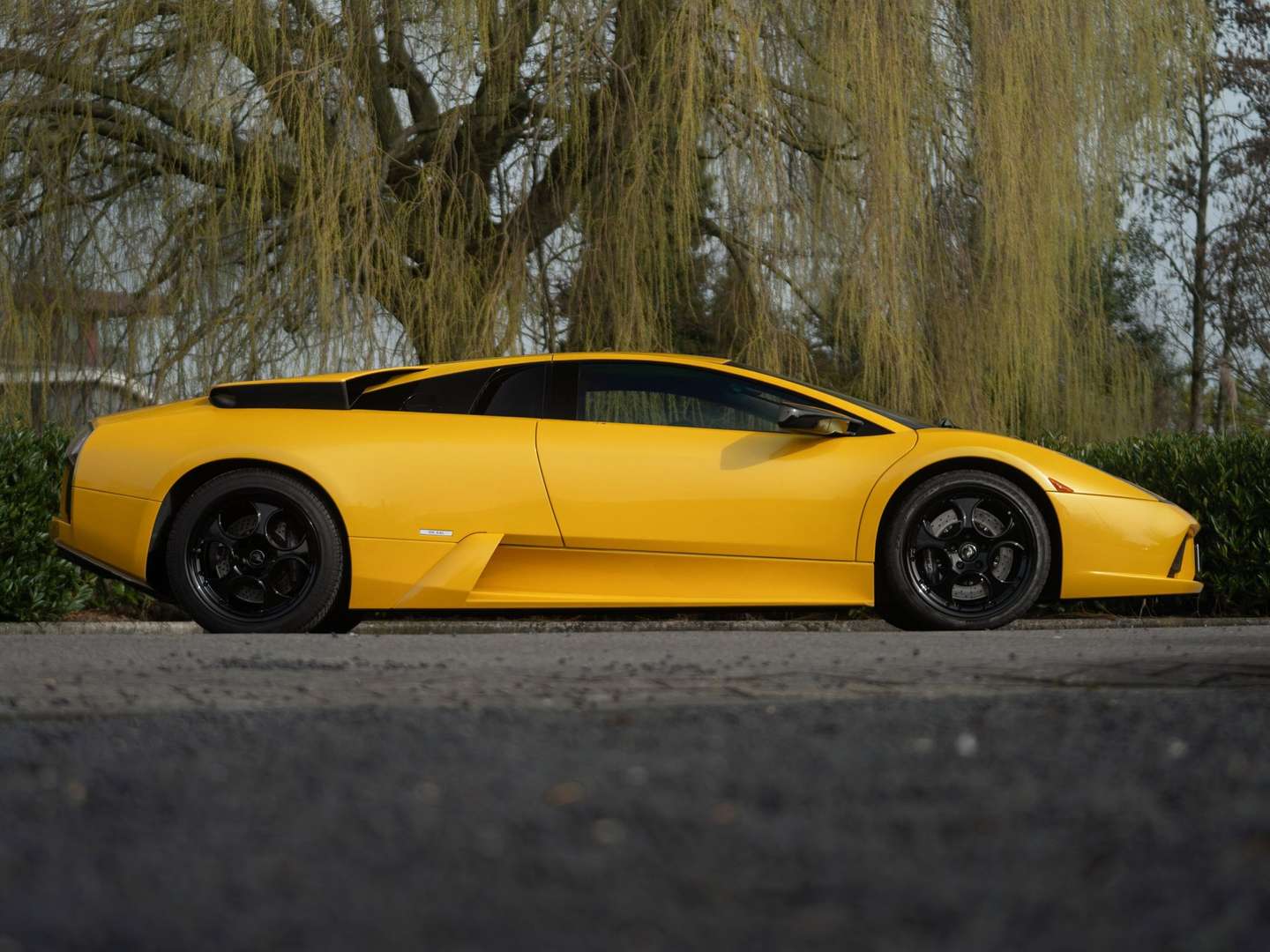 Lamborghini Murciélago -  - Joinsteer - #5