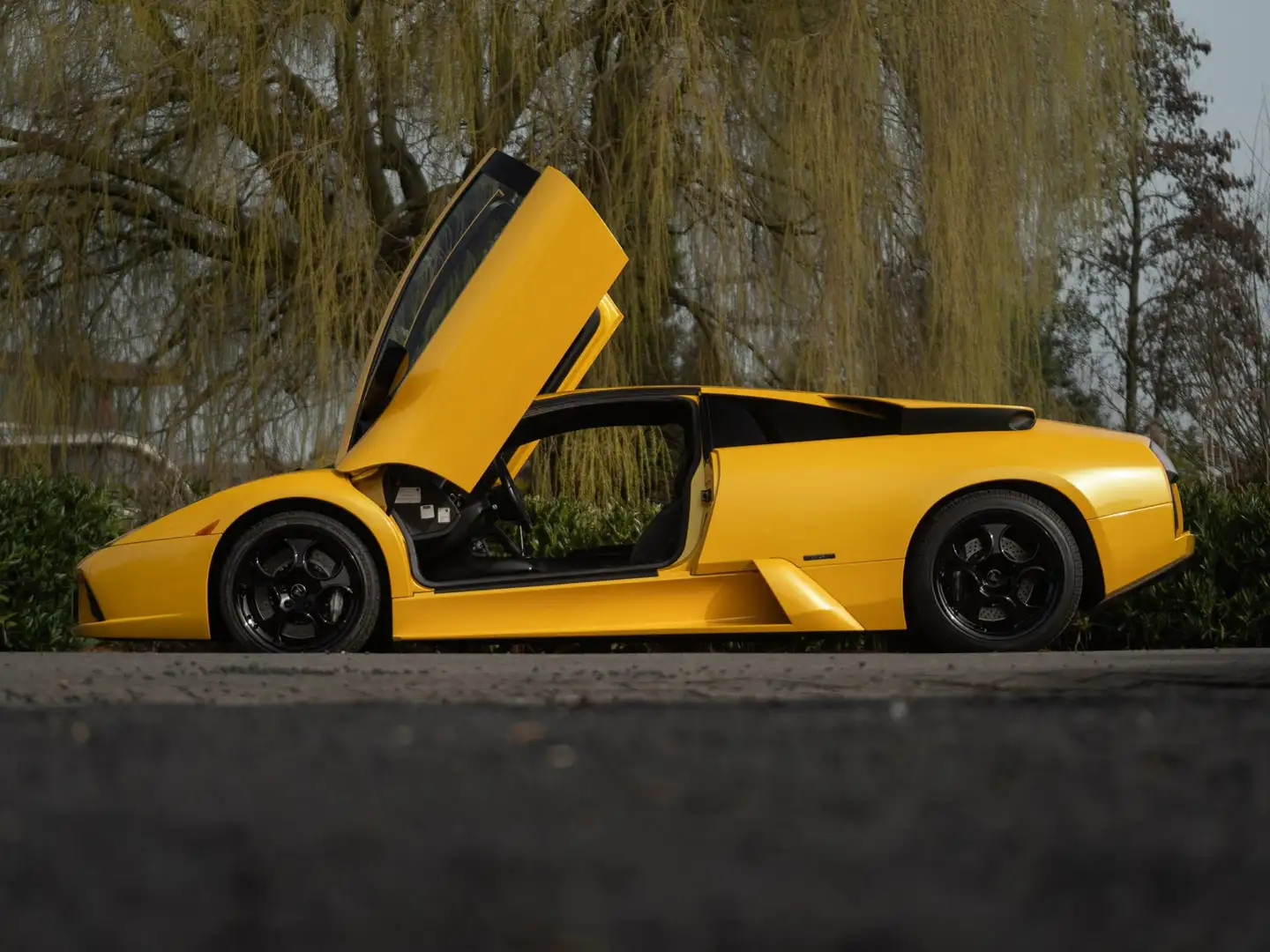 Lamborghini Murciélago 6-Speed Manual (2002) 580 PS | Giallo Orion | NL D Gelb - 2